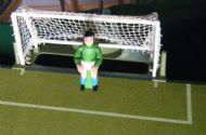 Diving goalies